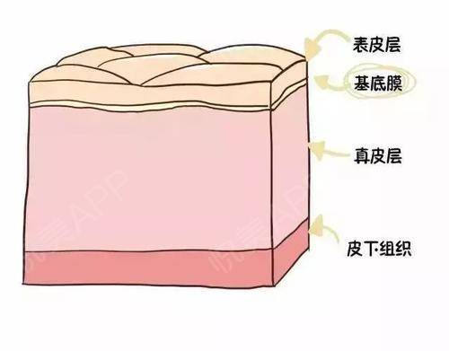 天气这么热,刚打的玻尿酸会融化吗?